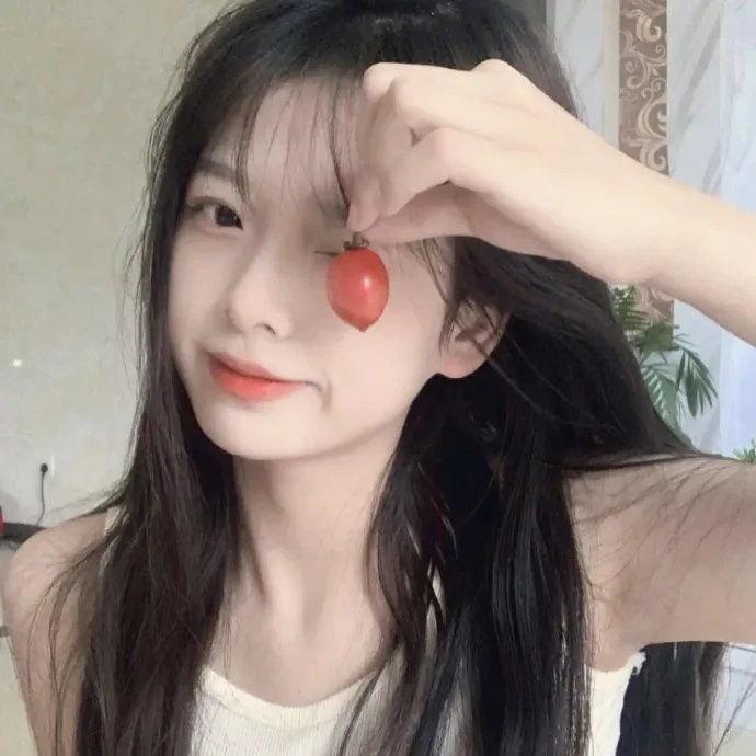 最后的兵团