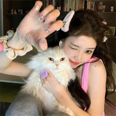 黑猫扎飞